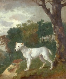 Bumper, een bullterriër, 1745